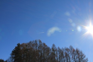 b0209623_12344591.jpg