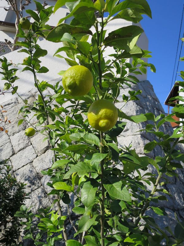 a0022024_16555112.jpg