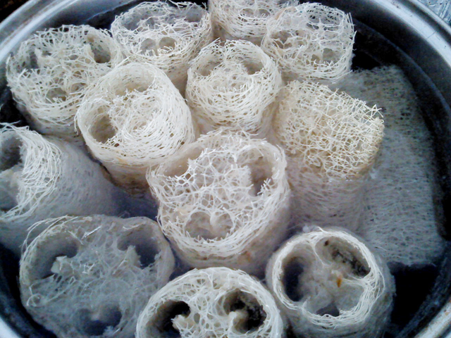 e0268325_17114791.jpg