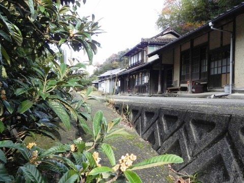 f0213825_1321181.jpg