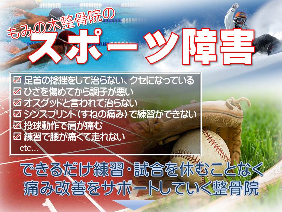 「捻挫だから大丈夫」は間違い　〇体のゆがみを科学する整骨院〇_a0070928_18332971.jpg