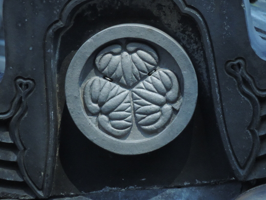 皇居 東御苑 自然観察会_f0171028_17522767.jpg