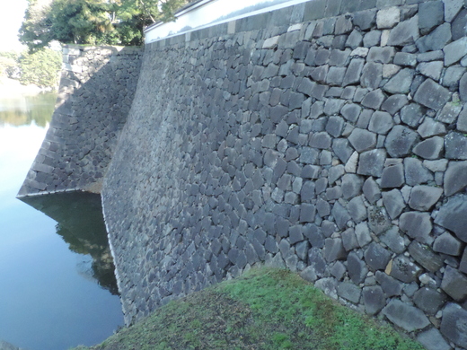 皇居 東御苑 自然観察会_f0171028_20201127.jpg