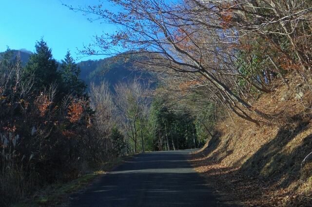 12/1 晴れ 林道 広河原逆川線を走る_a0060230_19182886.jpg