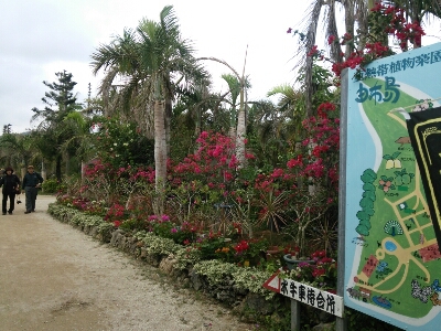 e0305834_21425058.jpg