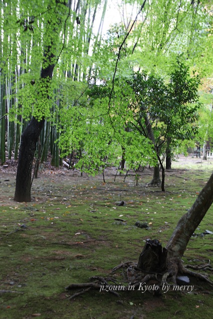 a0207736_236275.jpg
