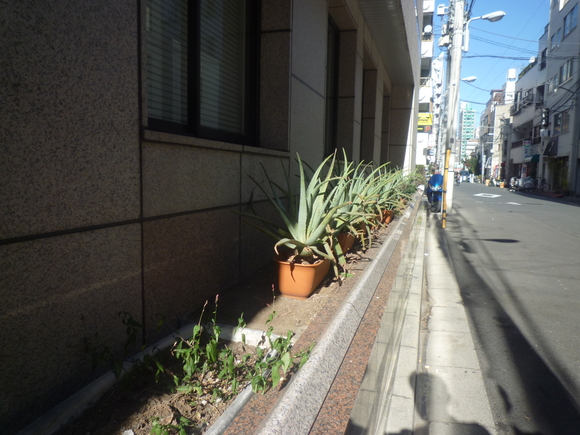 健康診断を受けに川崎まで行った_b0217741_1221311.jpg