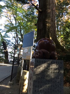 b0018242_1635548.jpg
