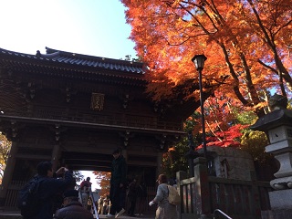 b0018242_1636375.jpg