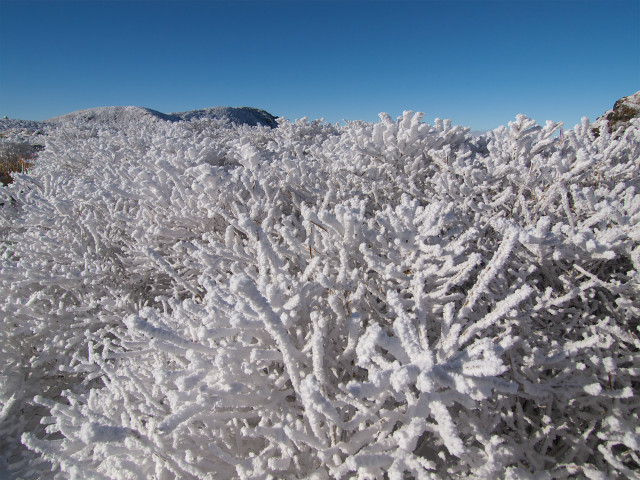 冬山霧氷鑑賞登山_e0151447_1812525.jpg