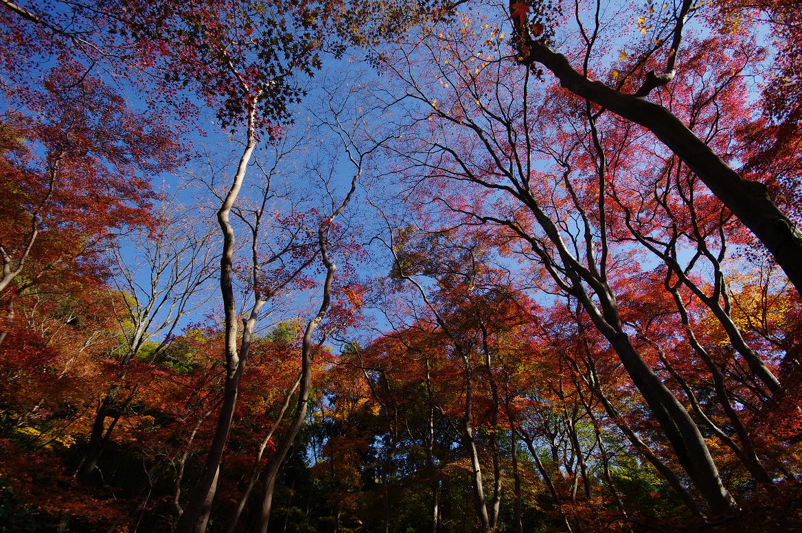 f0152550_0212677.jpg
