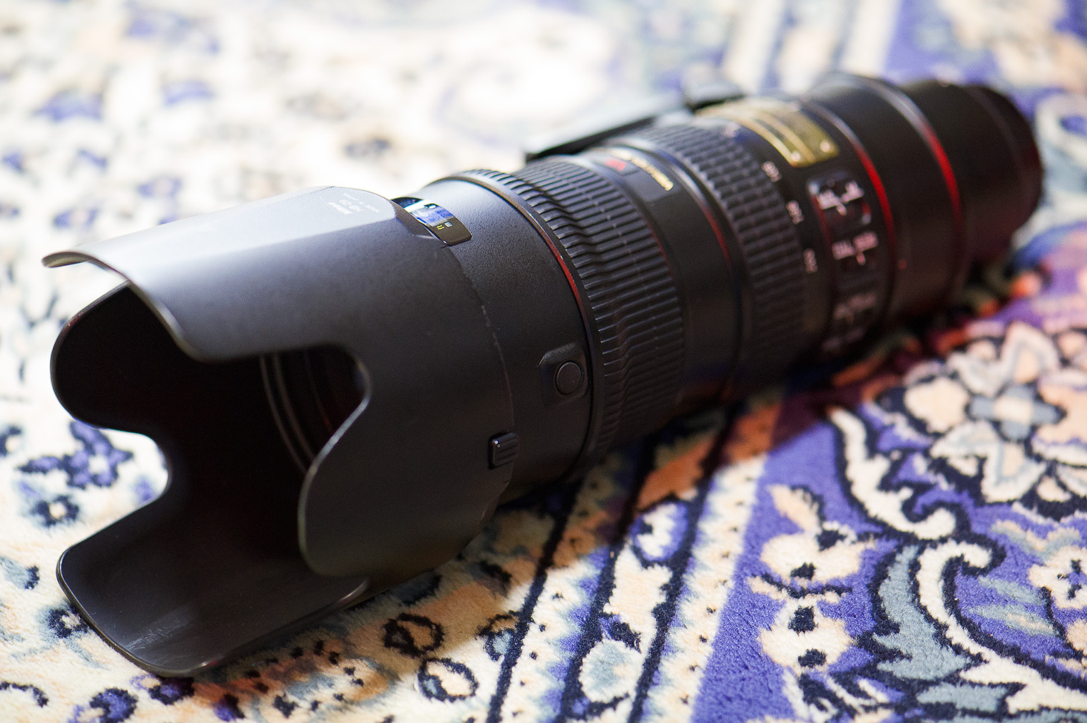 AF-S VR Zoom-Nikkor ED 70-200mm F2.8G（IF） : チーフのEOSデジタル