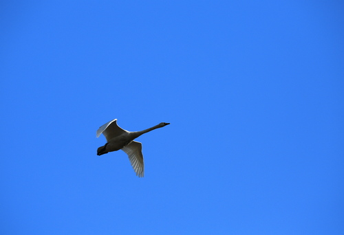 b0223754_2201215.jpg