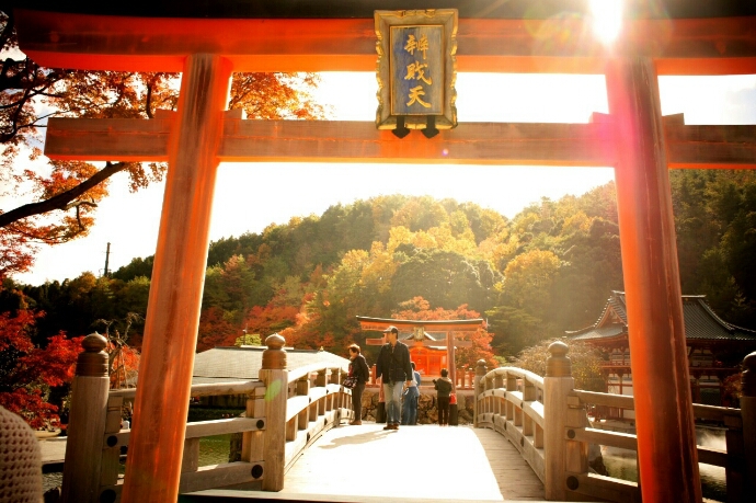 着物で散歩 ～秋の勝尾寺～_d0323757_12342323.jpg