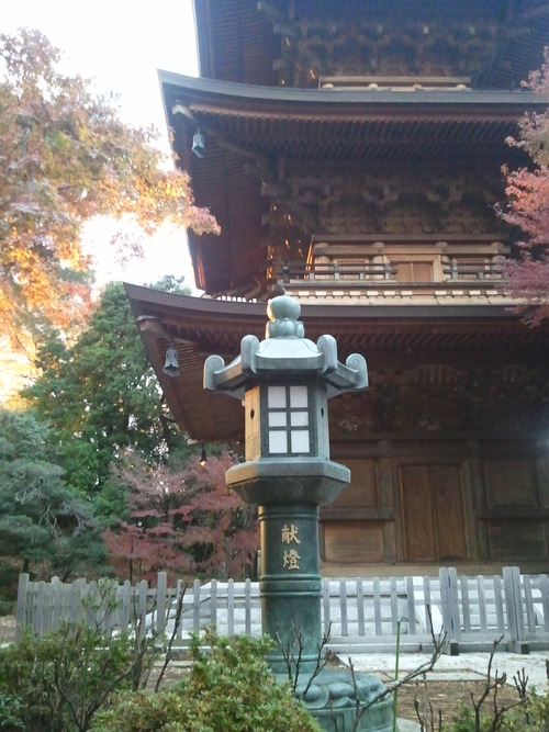 紅葉狩り～世田谷　豪徳寺～_f0305957_16183491.jpg