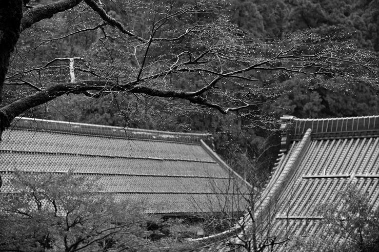 北陸旅行　その２　永平寺_e0170058_19401047.jpg