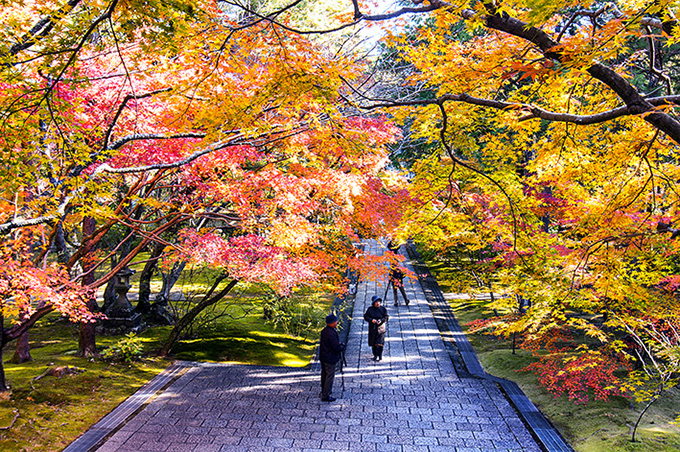 四国霊場五台山竹林寺は紅葉のたけなわです 11月30日 四国の山村と自然を撮る