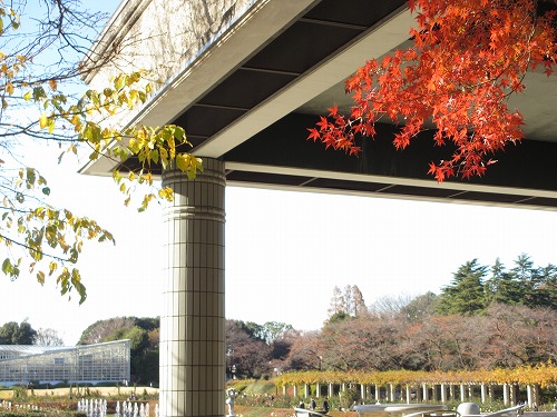 b0145863_1930099.jpg