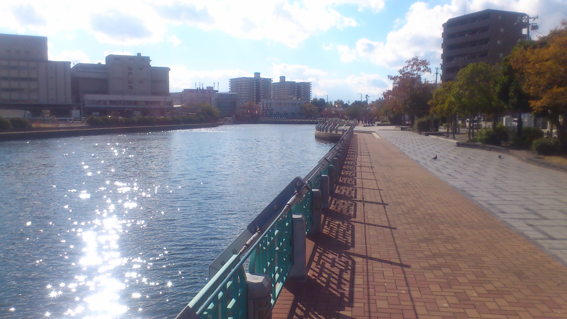 c0099564_16201455.jpg