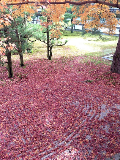仁和寺_d0069964_10522889.jpg