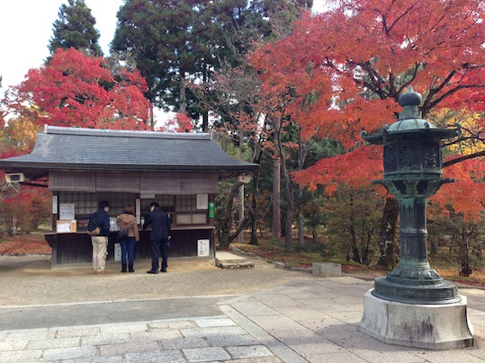 仁和寺_d0069964_105287.jpg