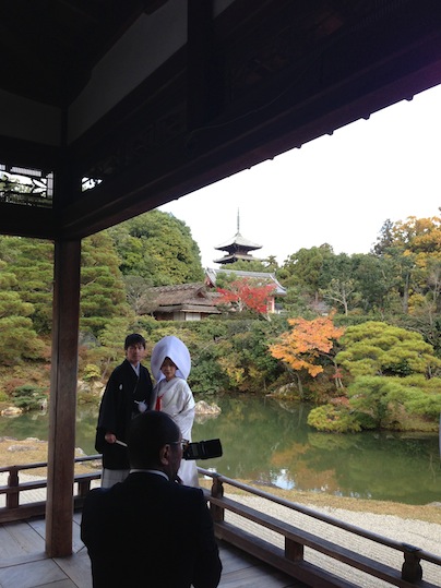 仁和寺_d0069964_10541918.jpg