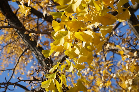 b0286966_22461845.jpg