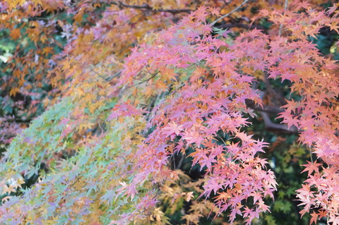 b0286966_22503834.jpg