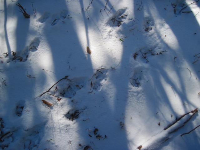 c0219866_10112062.jpg