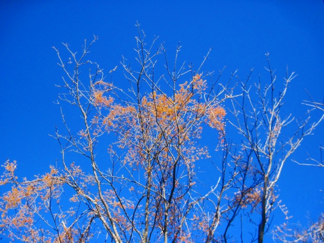 c0219866_10133480.jpg