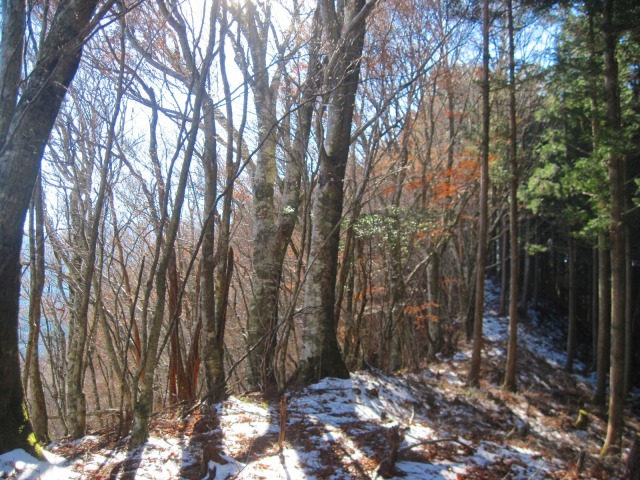 c0219866_10181759.jpg