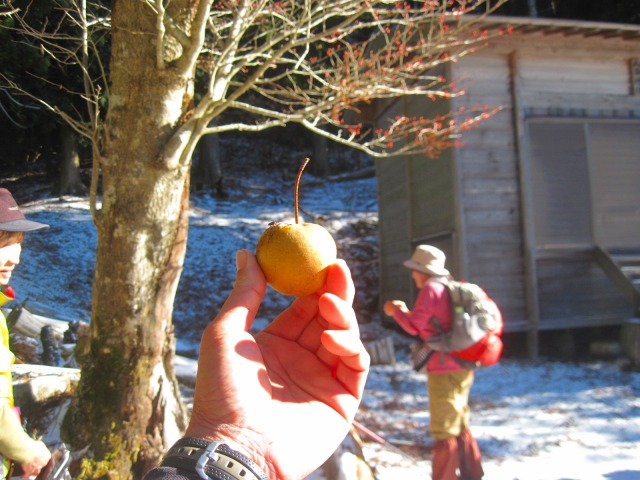 c0219866_1051251.jpg