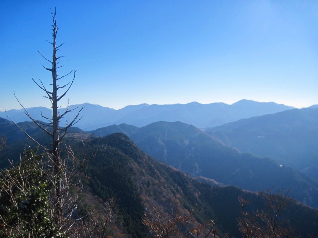 c0219866_1064980.jpg