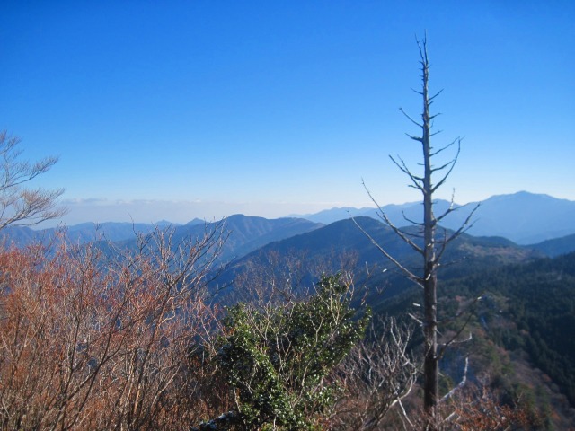 c0219866_1071628.jpg