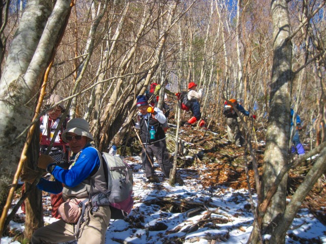c0219866_1092170.jpg