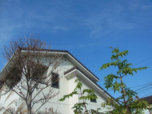 b0194267_17443996.jpg
