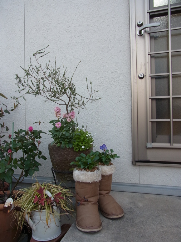 b0194267_17472267.jpg