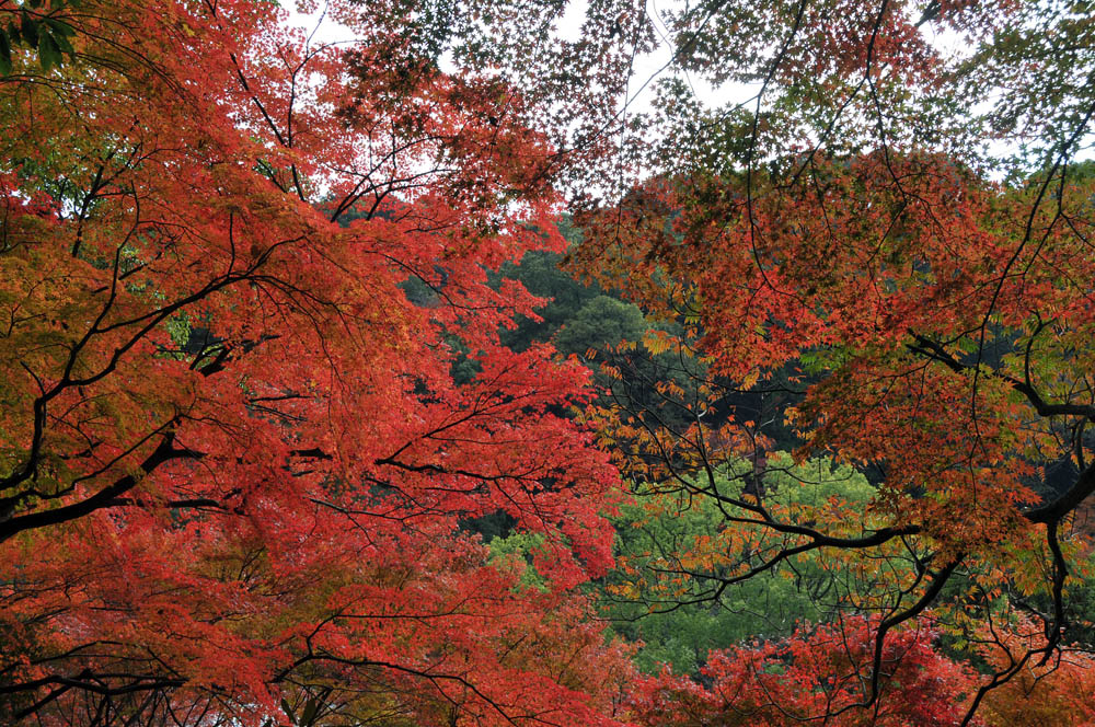 f0306071_1741327.jpg