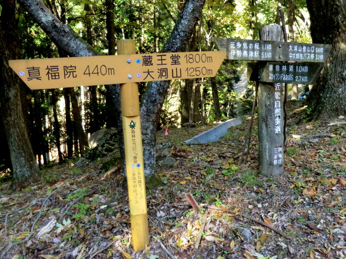 b0185573_2115875.jpg
