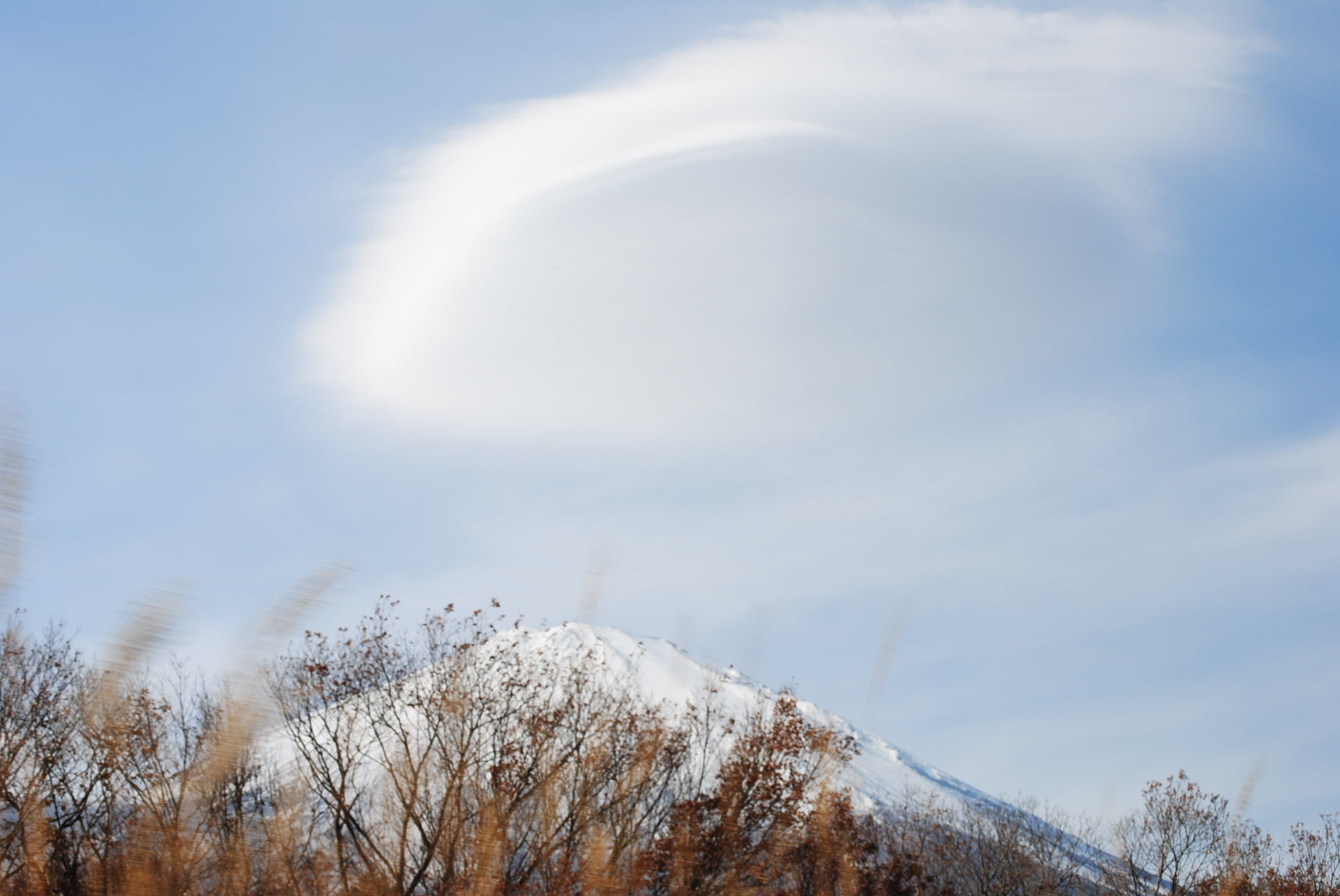 ♪ ダニエル 富士山三昧のお出掛け～／^o^＼ ♪ ランチ編_b0242873_10213437.jpg