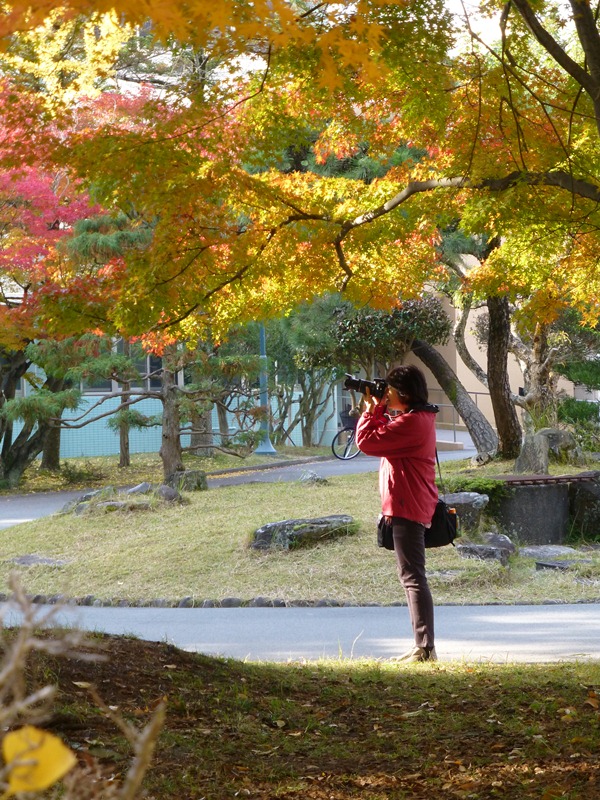 奈良の紅葉　オフ会　奈良女子大編　その1_d0042474_1057515.jpg