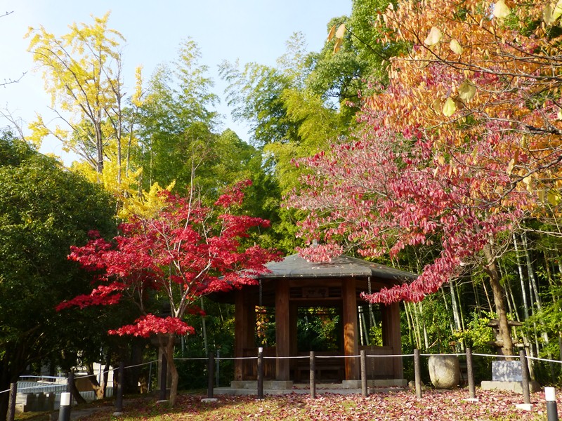 d0042474_2453464.jpg