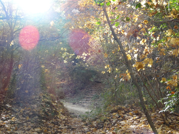 c0066176_16483451.jpg