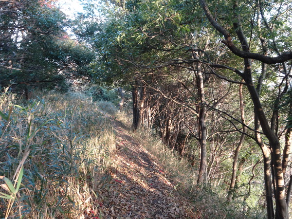 c0066176_16514672.jpg