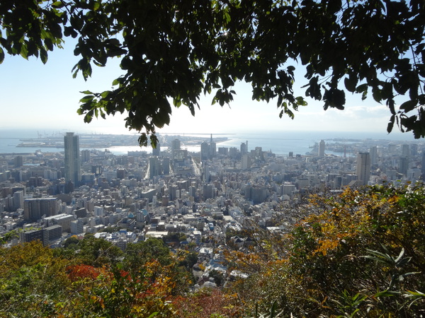 c0066176_8594669.jpg