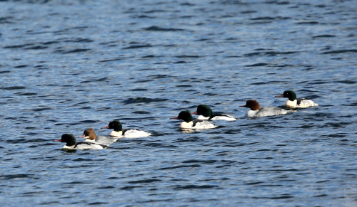 d0262476_53274.jpg