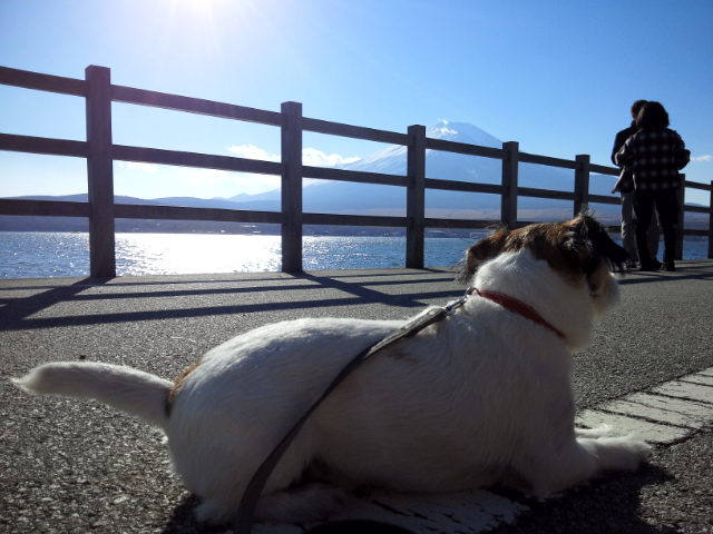 道志でお蕎麦を食べて河口湖紅葉回廊へ_a0118079_13570730.jpg