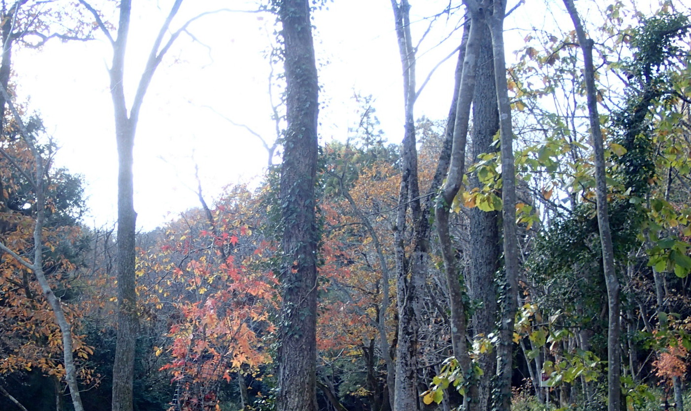e0024081_8333290.jpg