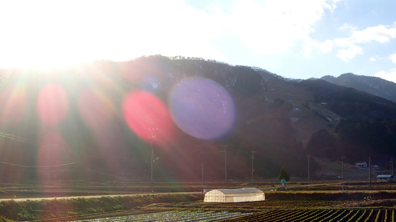e0024081_8342873.jpg