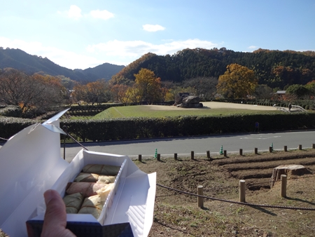 奈良-清滝峠-大阪へ_e0201281_20241994.jpg
